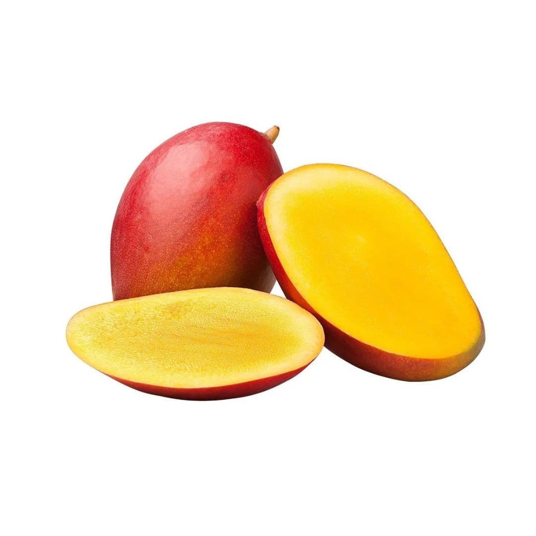 American Red Palmer Mango Plant