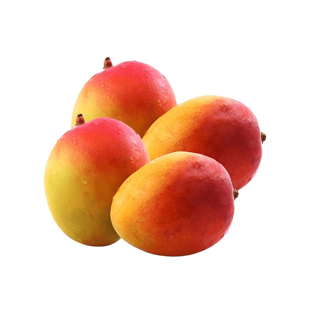 Golap Khas Mango Plant