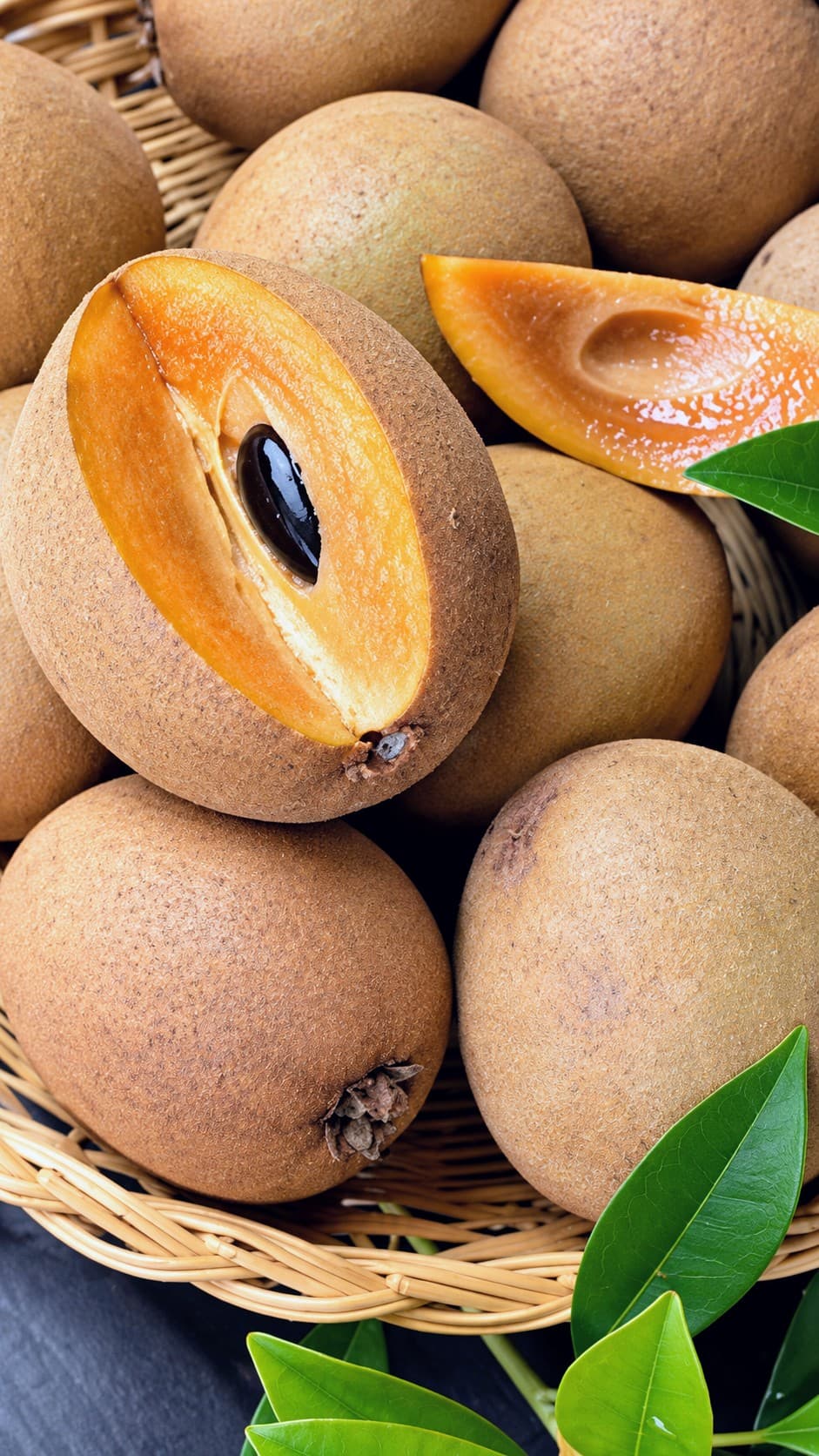 Chiku Plant (Kalapati)