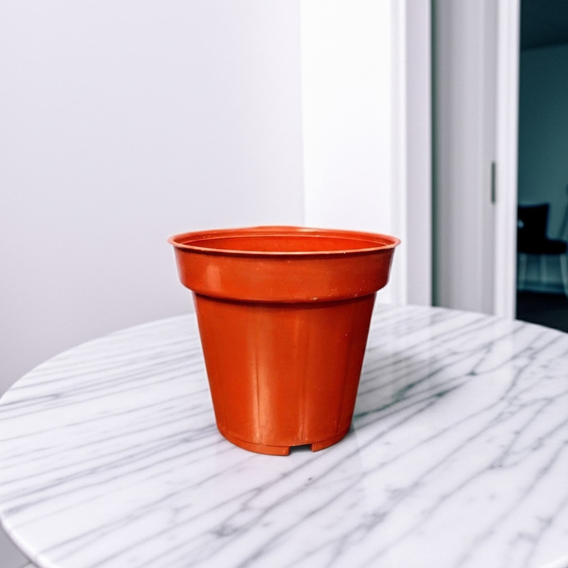 Terracotta