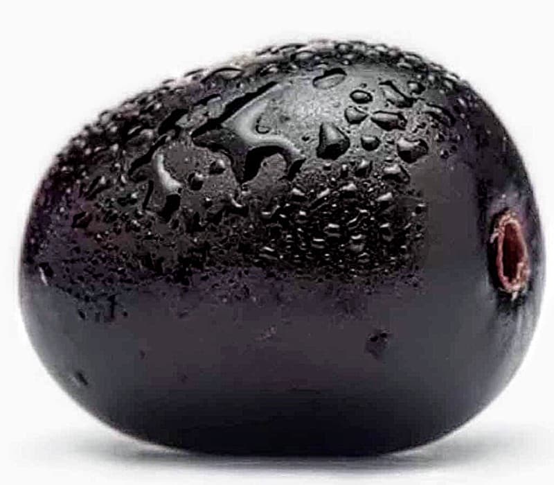 Thai King Jamun or KG 10 Jamun Plant