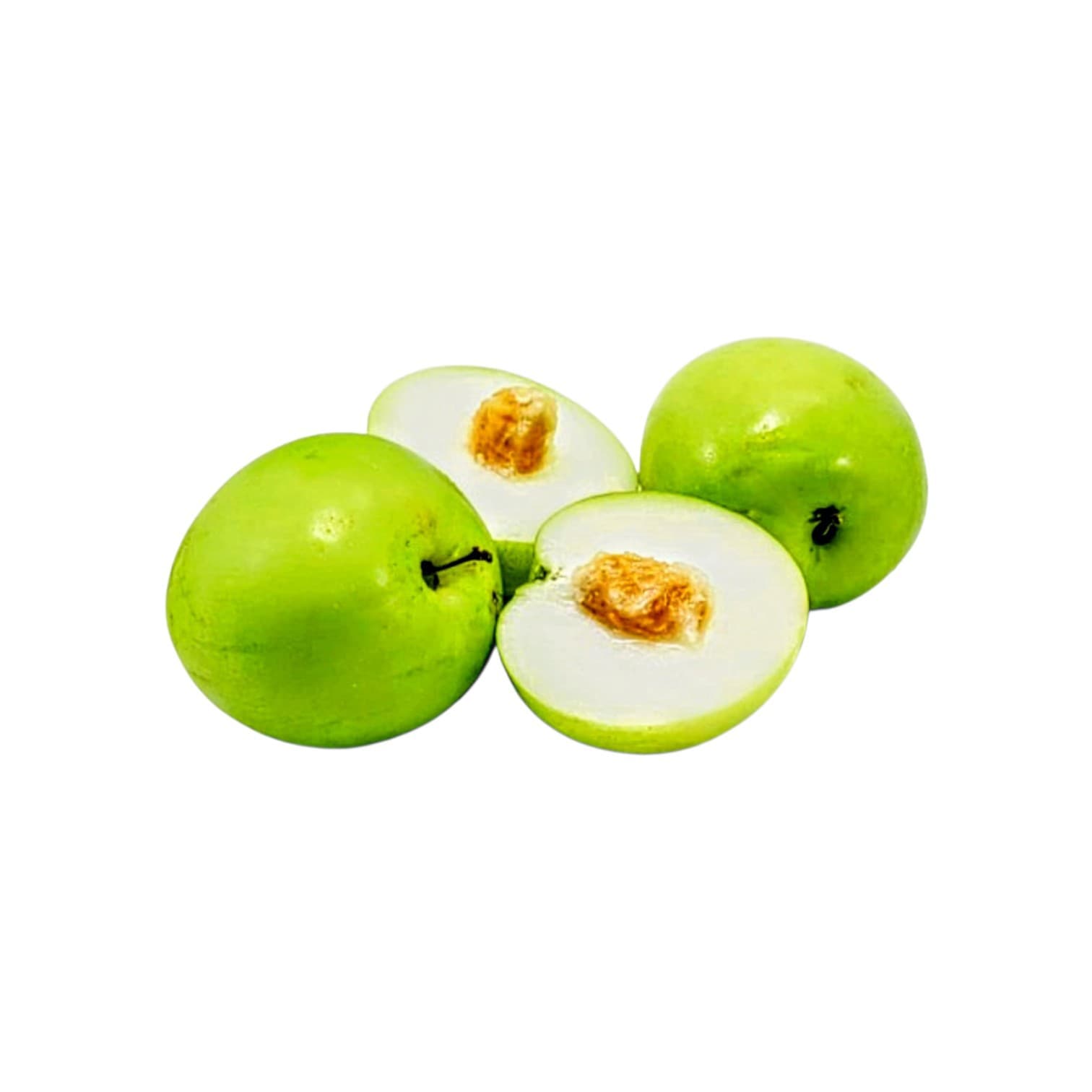 Bao Ber Plant