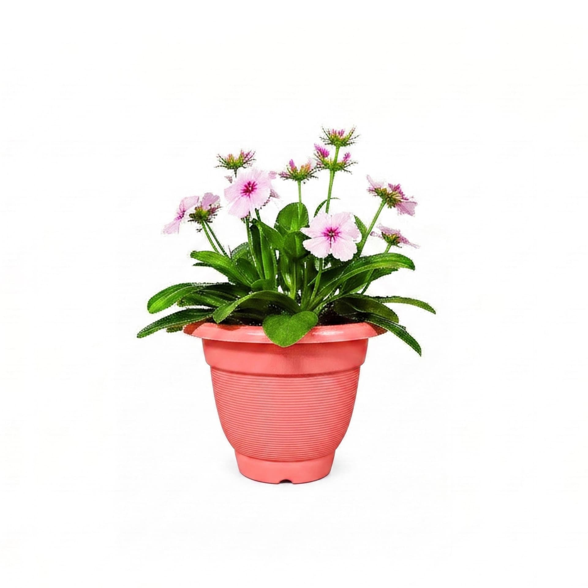Flower Pot (V)
