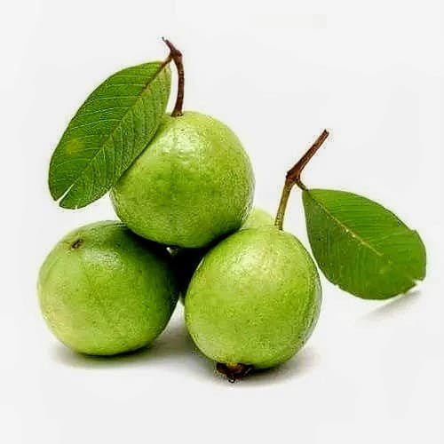 Guava (Baruipur)